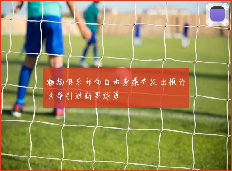 赖扬俱乐部向自由身桑乔发出报价力争引进新星球员